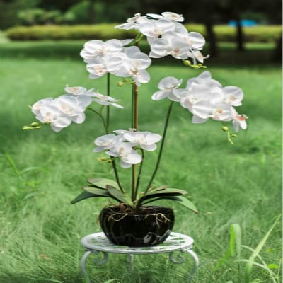 Decorative Real Touch White Artificial Orchid